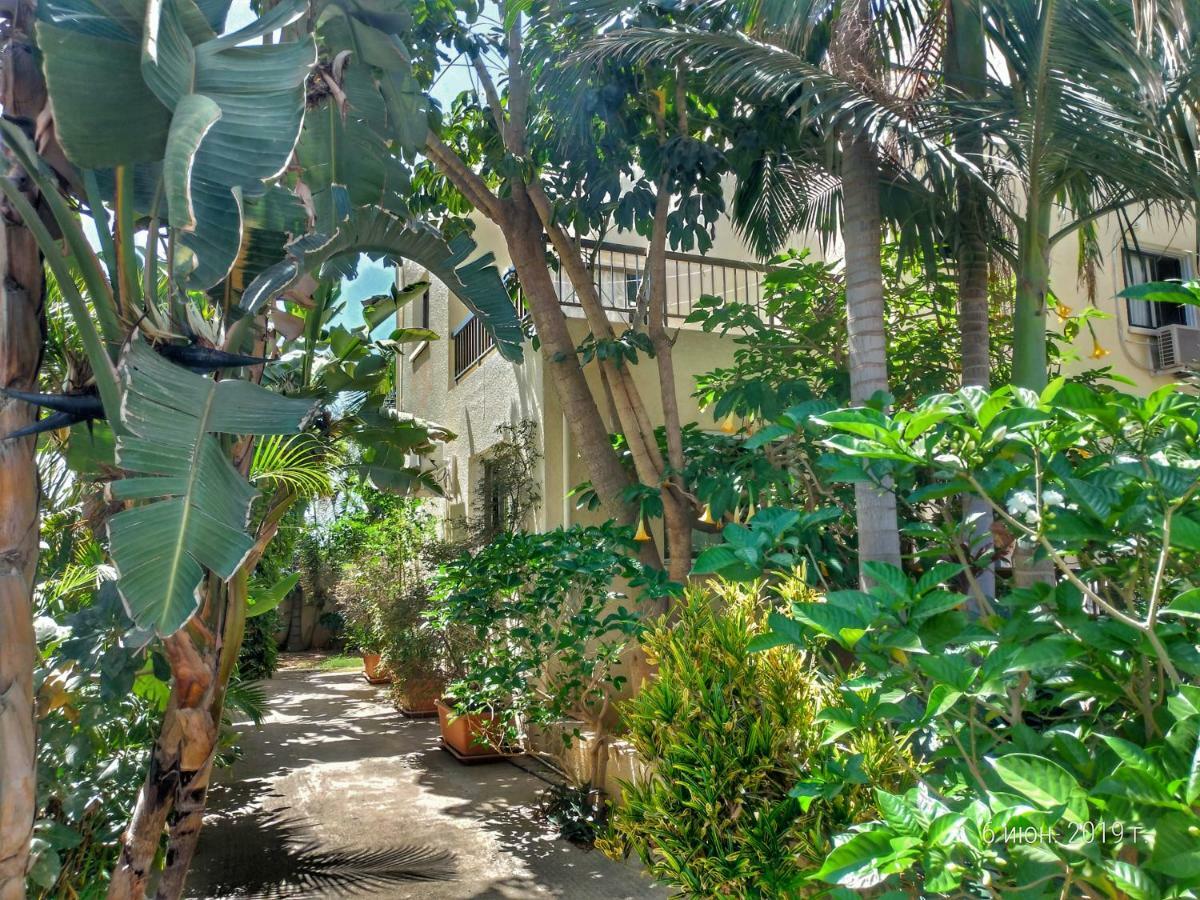 פרוטאראס Constantaras Apartments מראה חיצוני תמונה